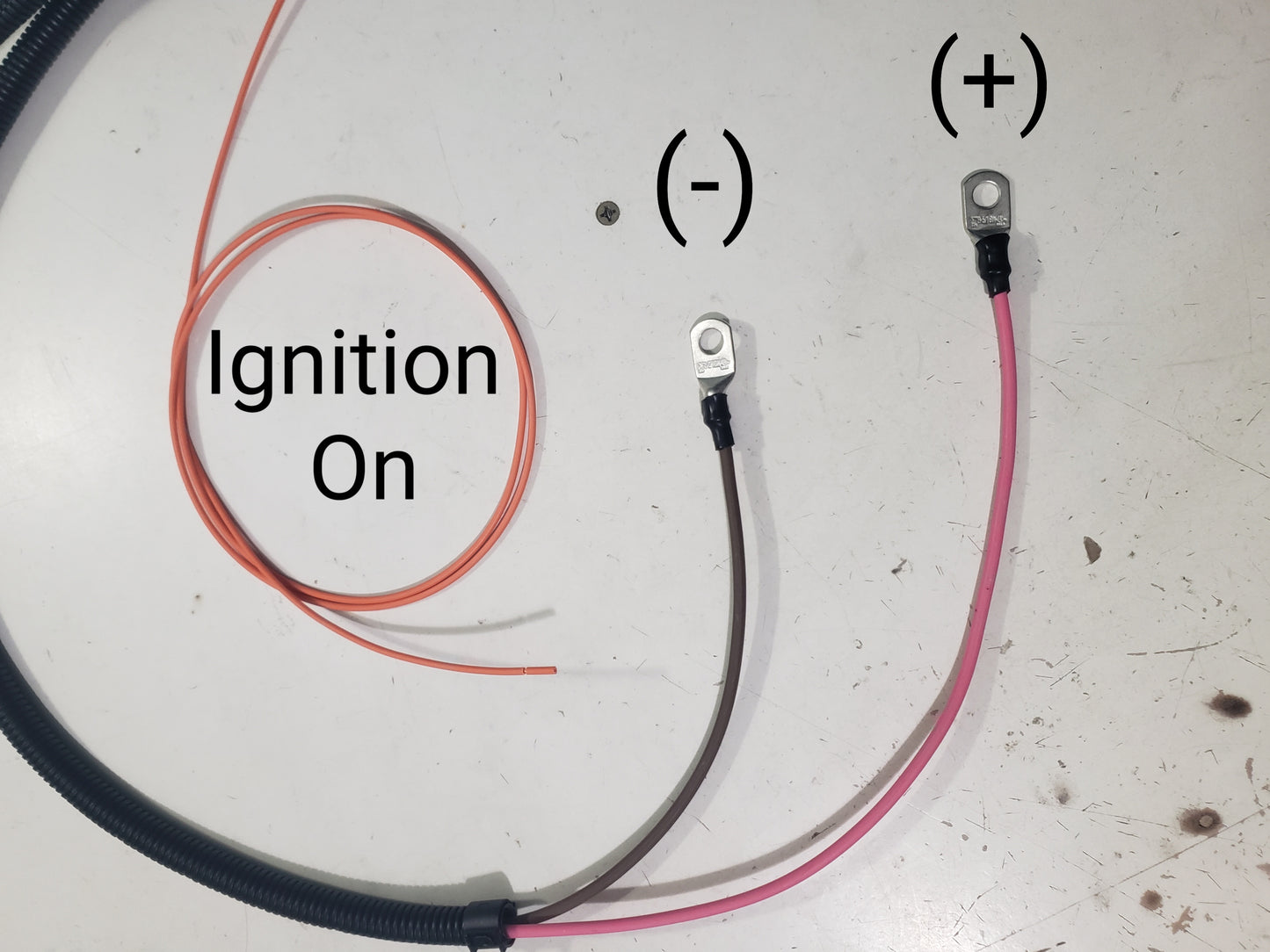 ALH TDI Stand Alone Wiring Harness NEW for 1999-2003 Volkswagen 1.9 Engine Swap